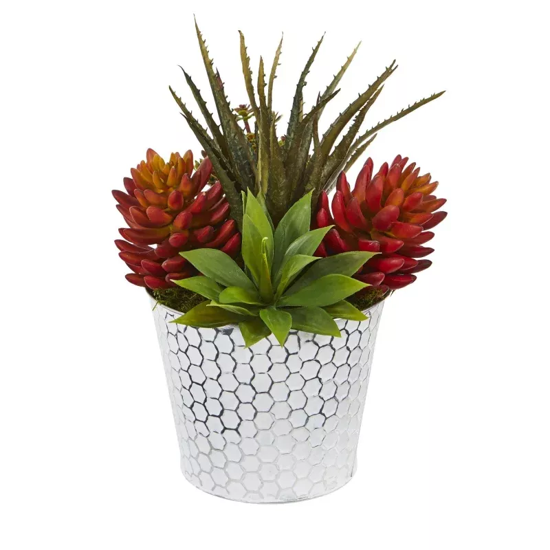 12 Mixed Succulent Artificial Plant in Embossed White Planter