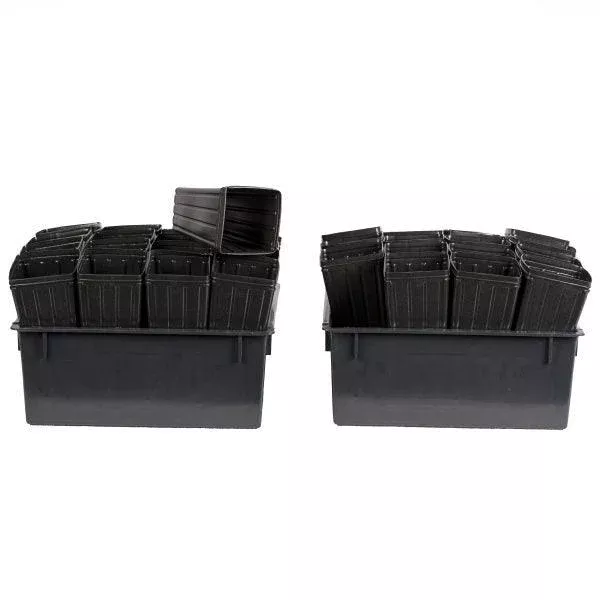 2 Square 15.75″ Trays with 32 “Short One” Mini-Treepots
