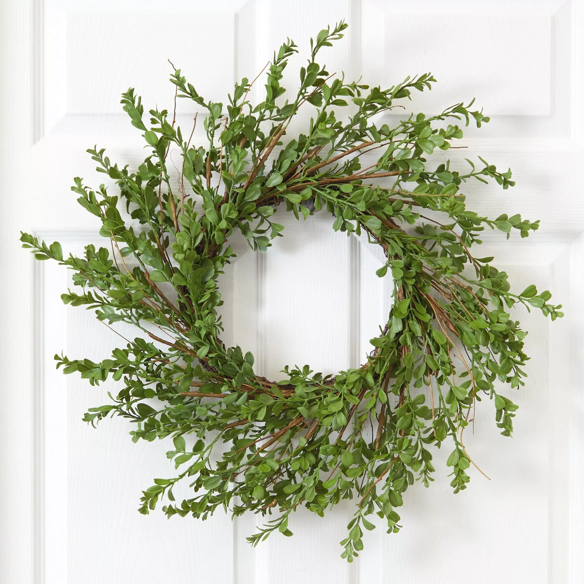 20 Boxwood Artificial Wreath