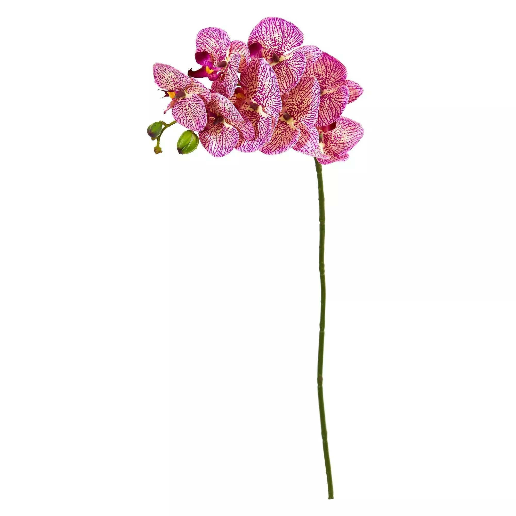 28 Orchid Phalaenopsis Artificial Flower Stem (Set of 6)