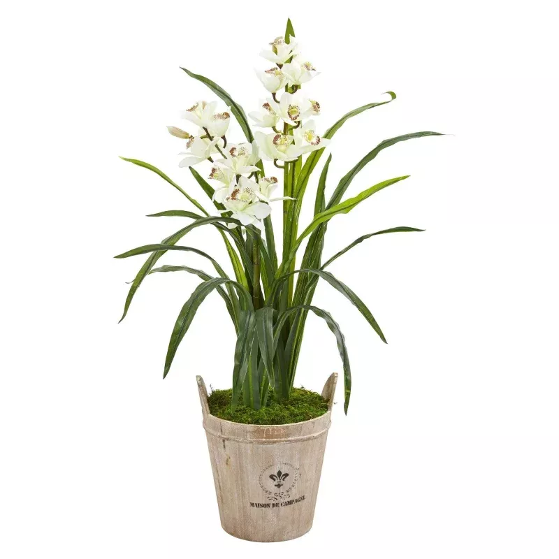 3.5 Cymbidium Orchid Artificial Plant in farmhouse Planter
