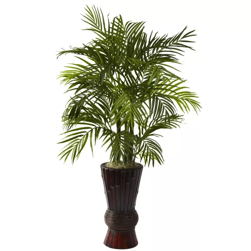 4 Areca w/Bamboo Planter