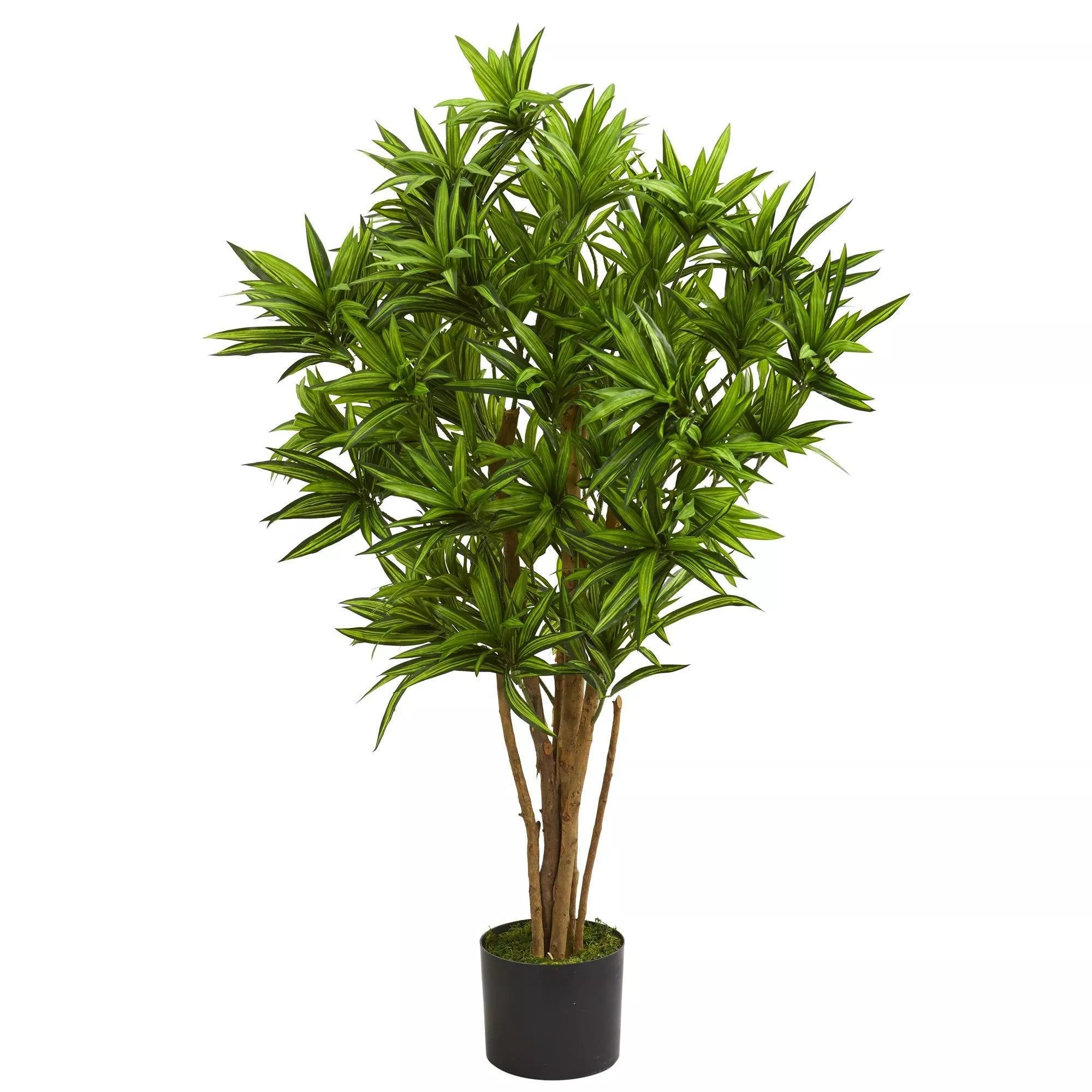 4 Dracaena Artificial Tree