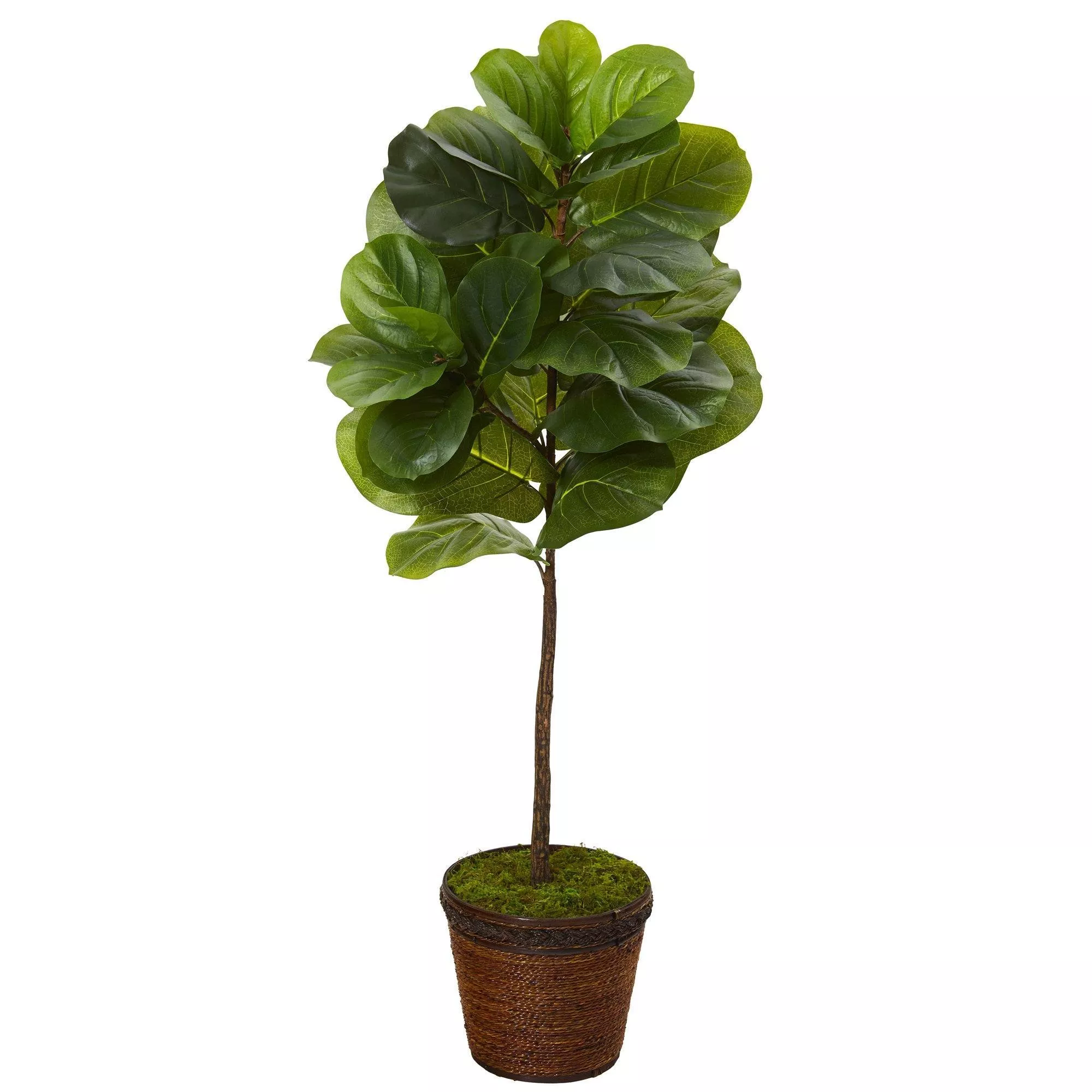 4 Fiddle Leaf Artificial Tree in Coiled Rope Planter (Real Touch)