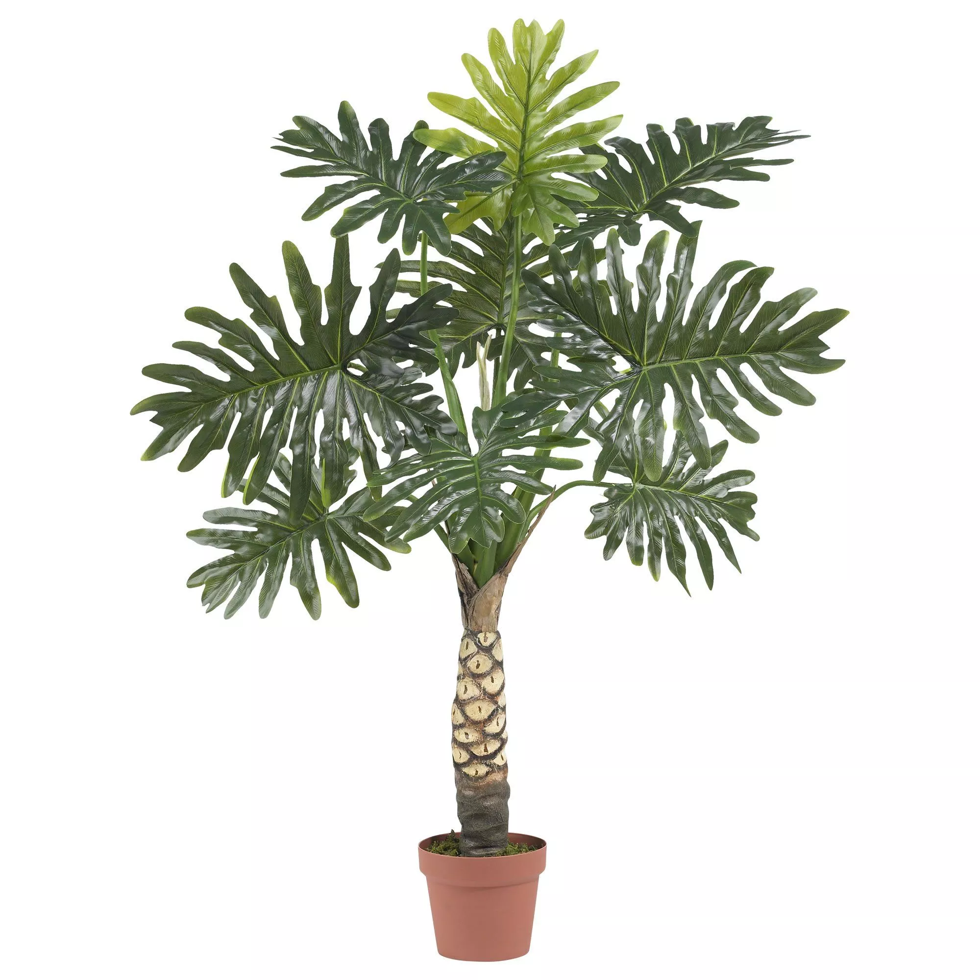 4 Monstera Tree (Real Touch)