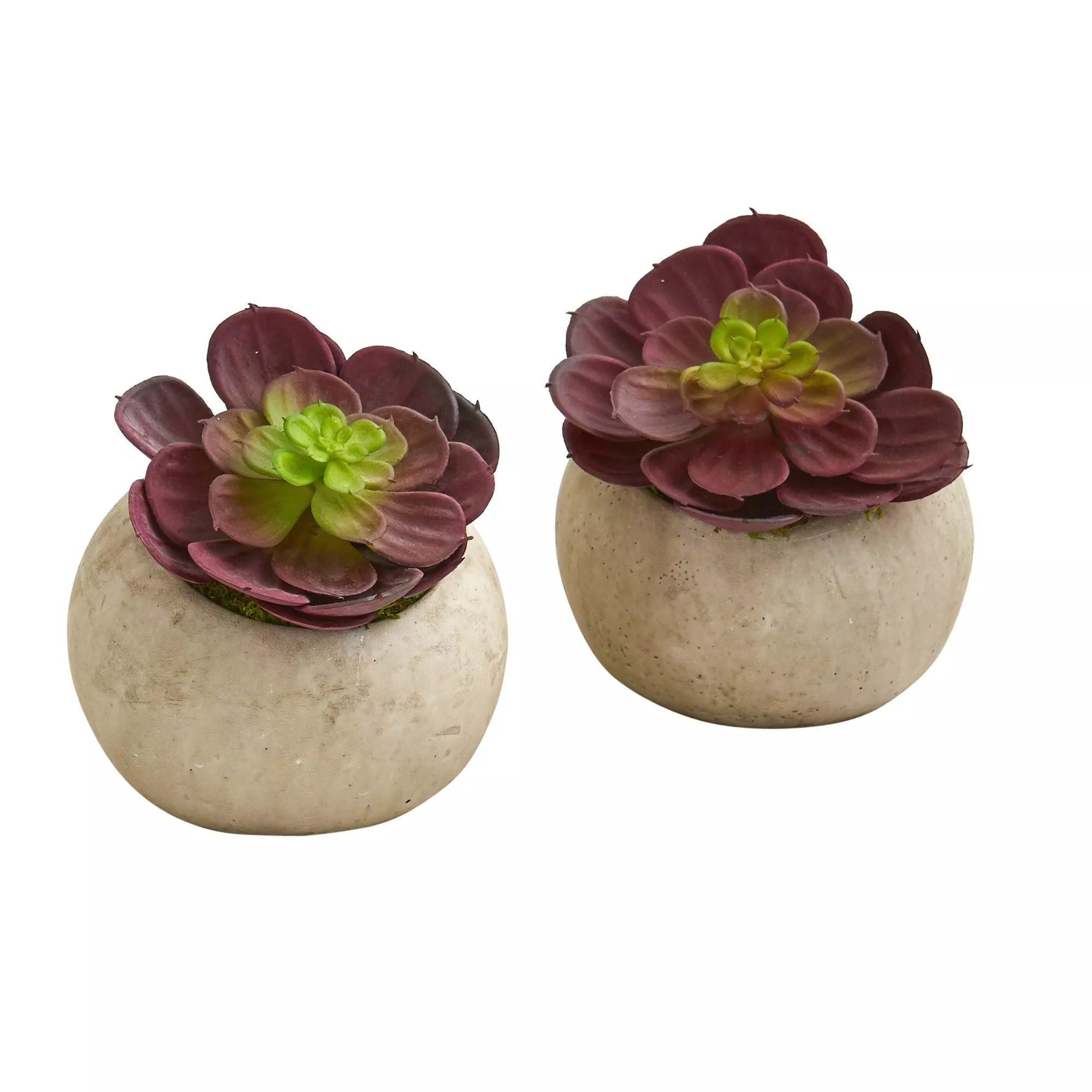 5 Echeveria Succulent Artificial Plant in Gray Planter (Set of 2)