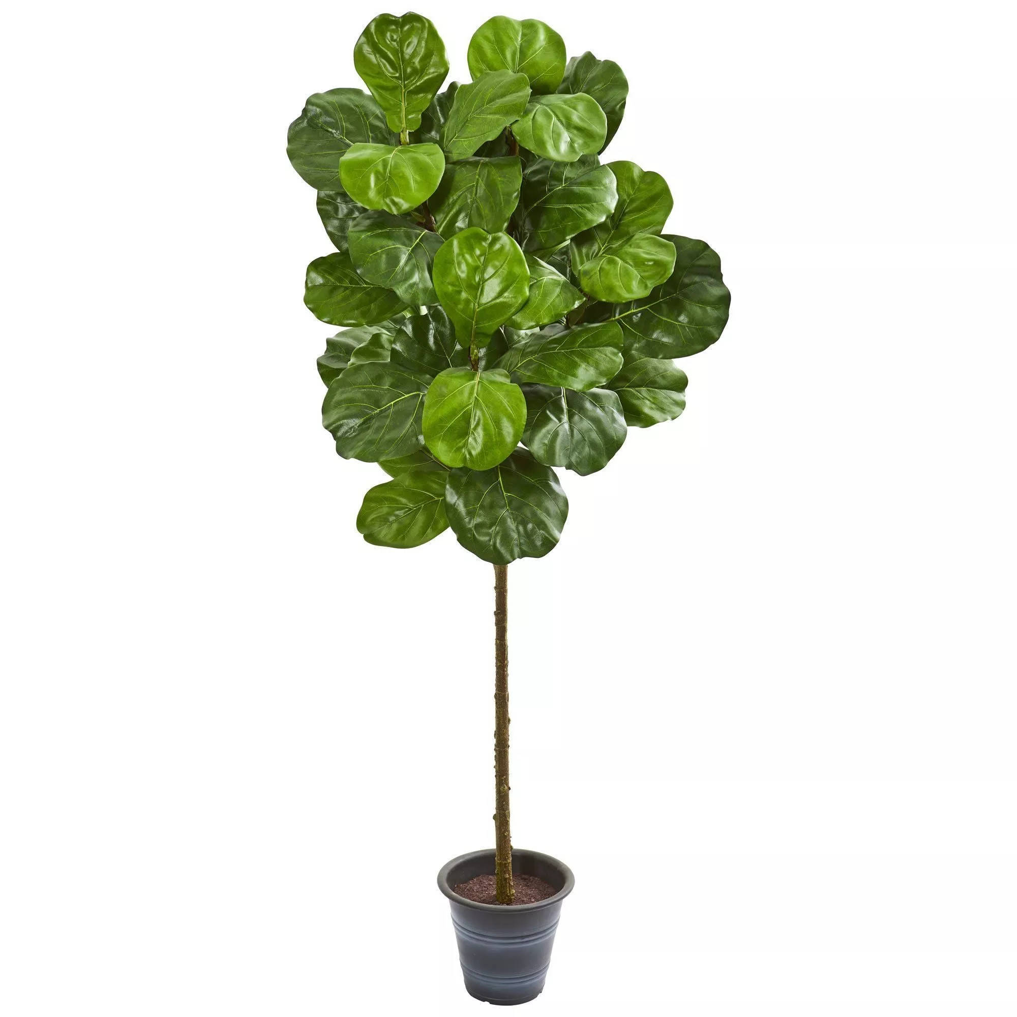 5 Fiddle Leaf Artificial Tree With Decorative Planter