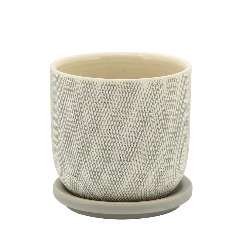 5″ Mesh Planter W/ Saucer, Sage