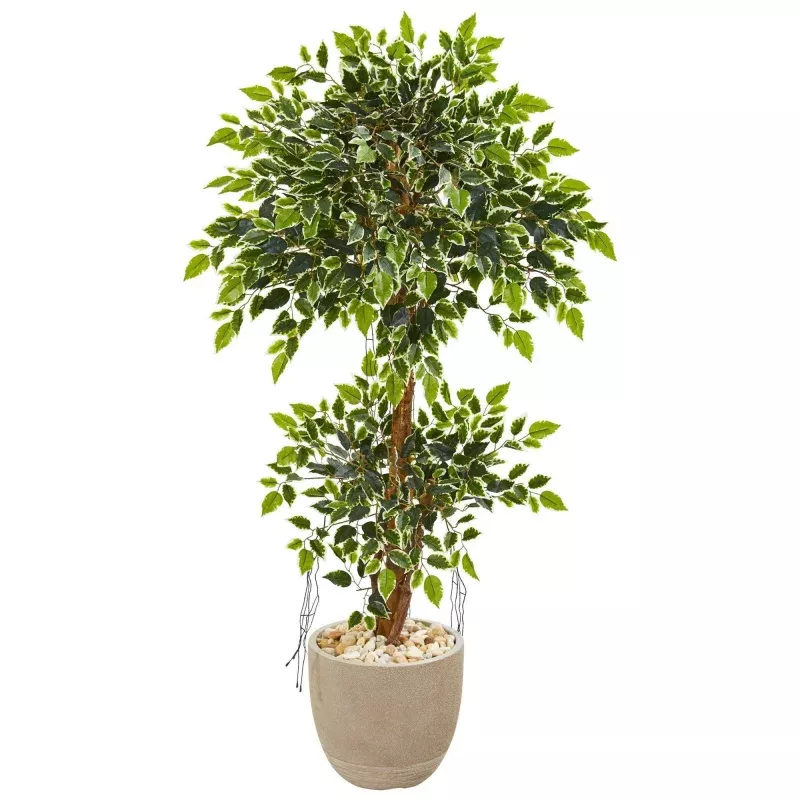 55 Variegated Ficus Artificial Tree in Sandstone Planter