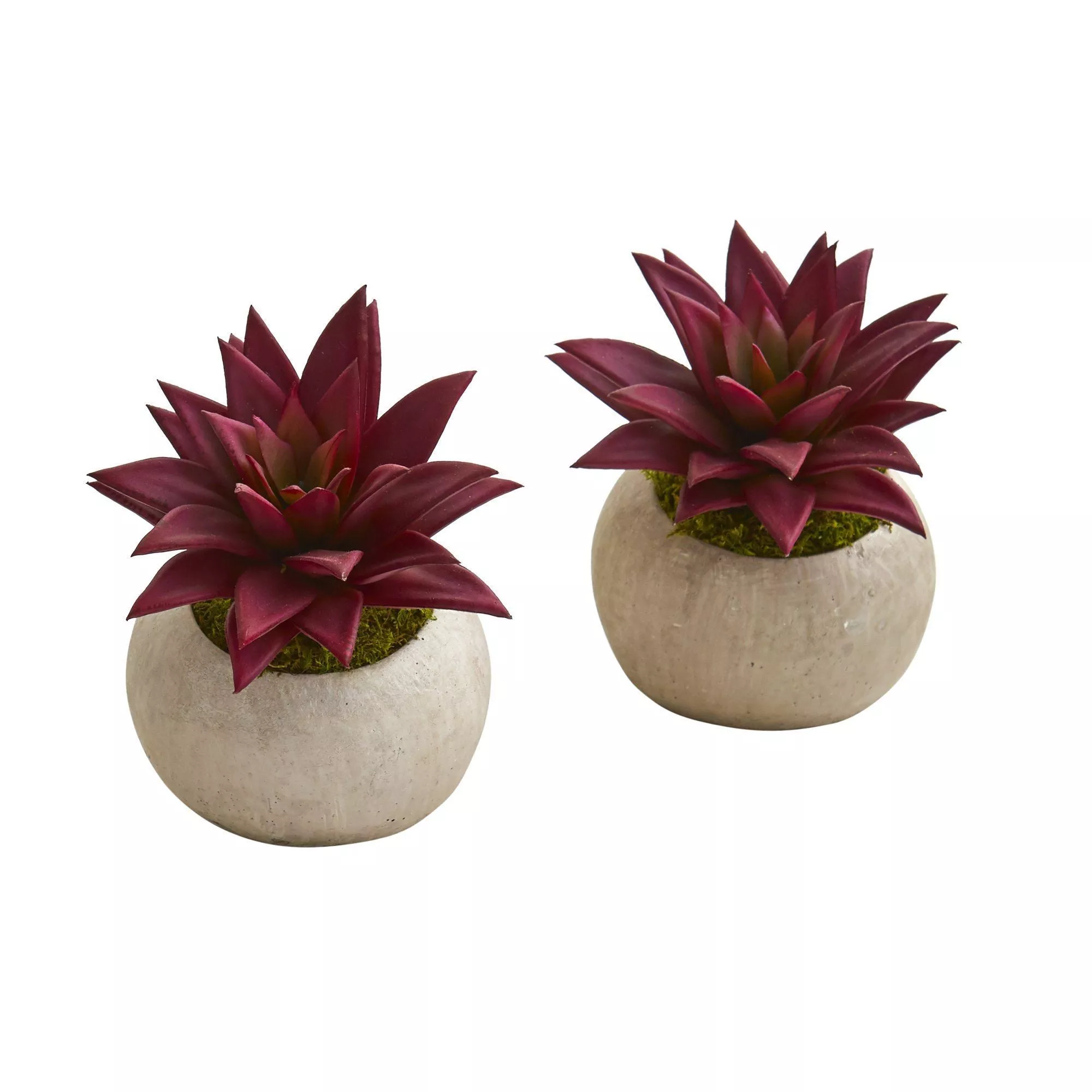6 Agave Succulent Artificial Plant in Planter (Set of 2)