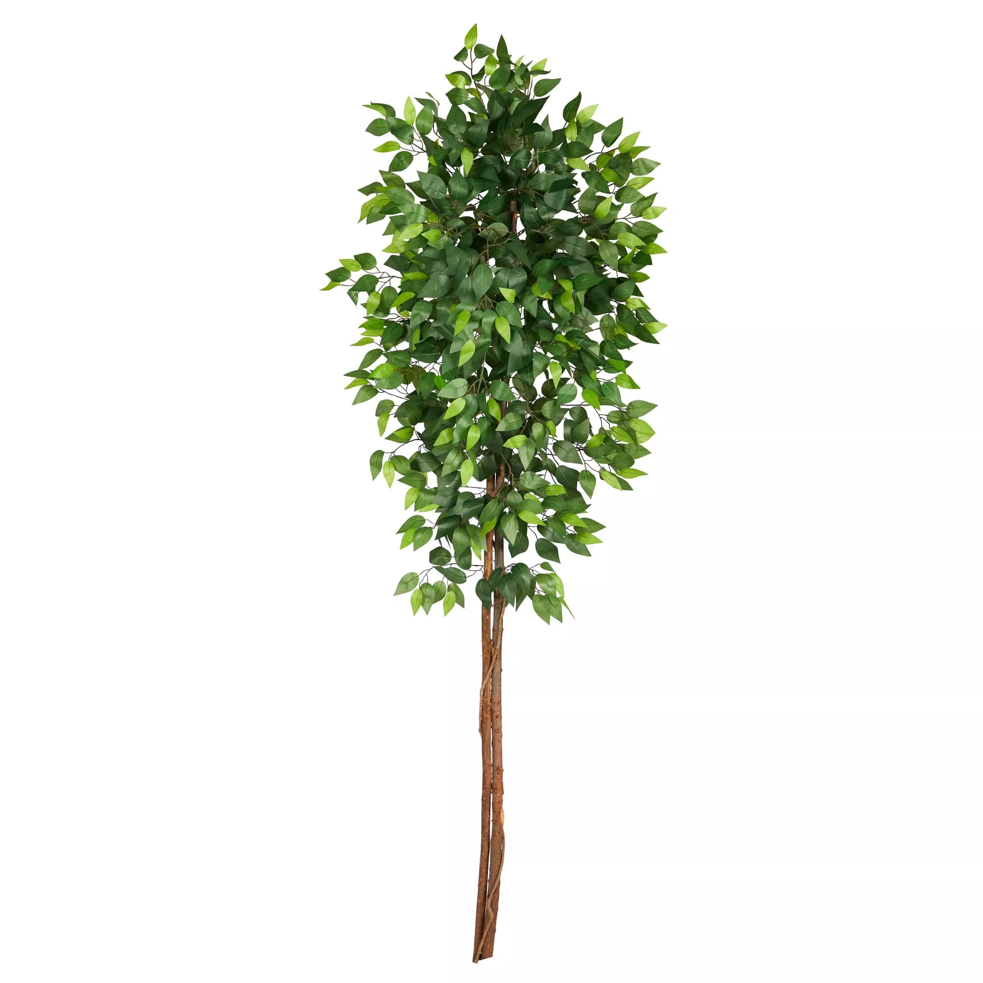 6 Artificial Double Trunk Ficus Tree (No Pot)