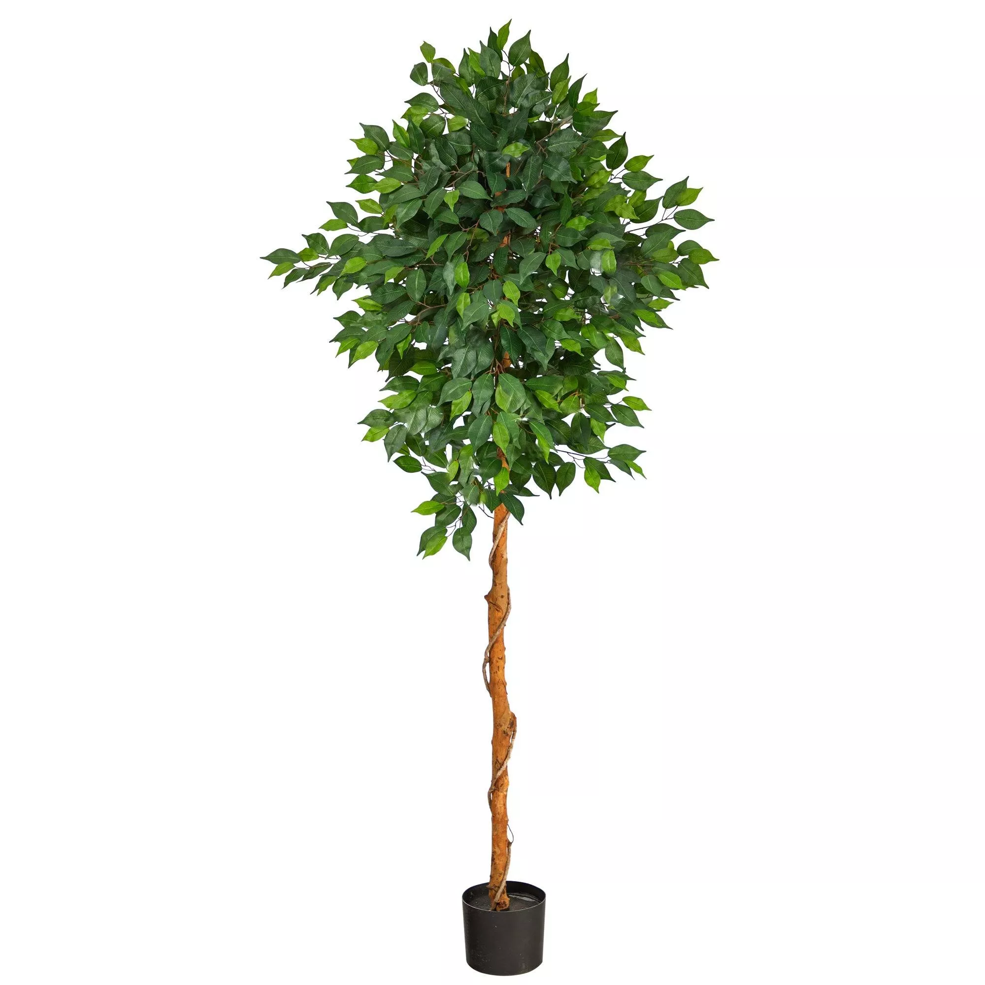 6 Artificial Ficus Tree