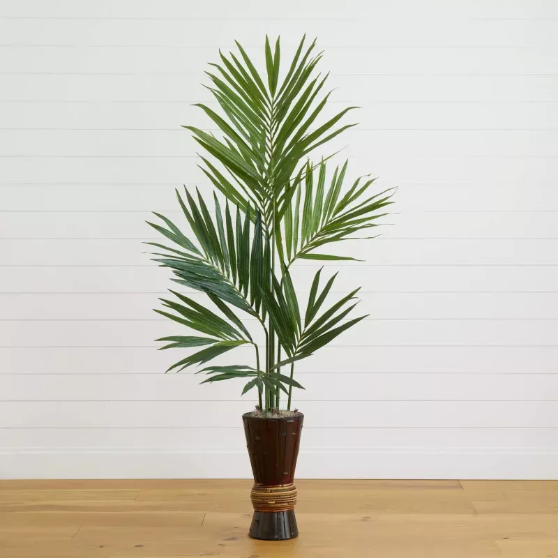 6 Kentia Tree w/Bamboo Planter