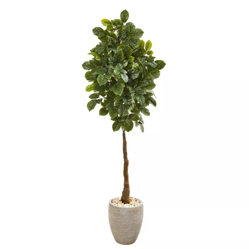 69 Beech Leaf Artificial Tree in Sand Colored Planter