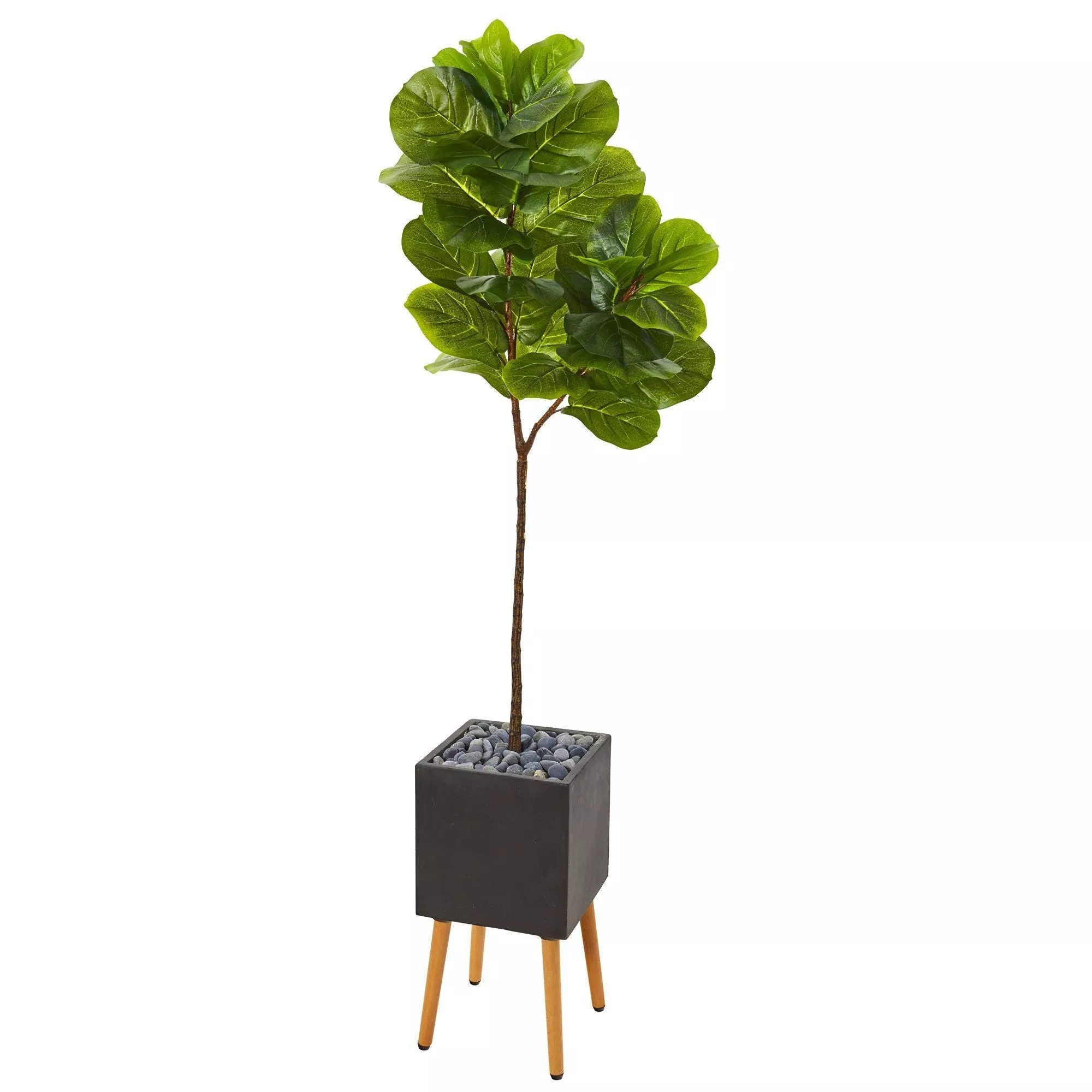 71 Fiddle Leaf Artificial Tree in Black Planter with Stand (Real Touch)