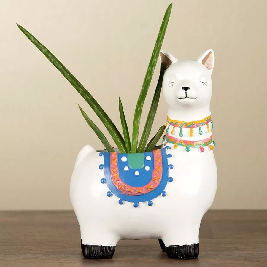Aloe Vera in Llama Planter
