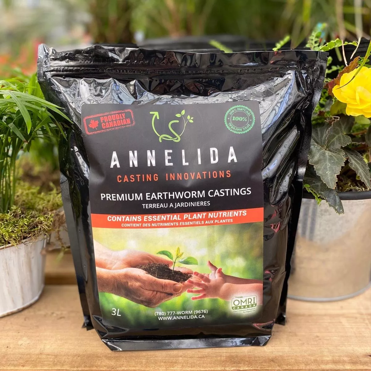 Annelida Worm Castings