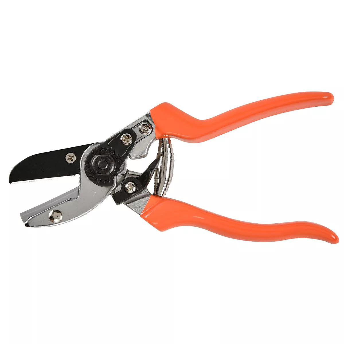 Anvil Secateur 8211 RHS Endorsed