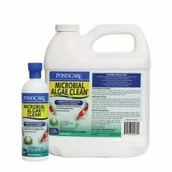 API Pond Microbial Algae Clean
