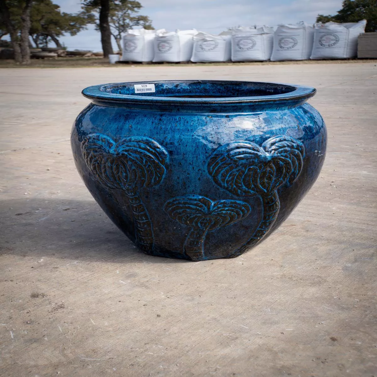 Aqua Blue Ventana Palm Planter