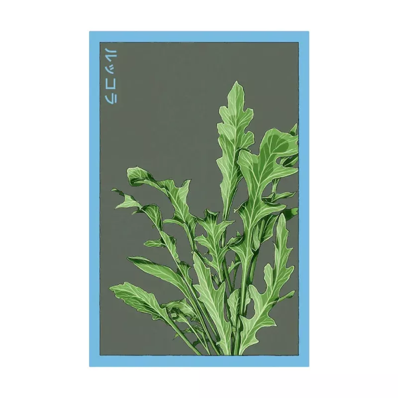 Arugula - Seeds,