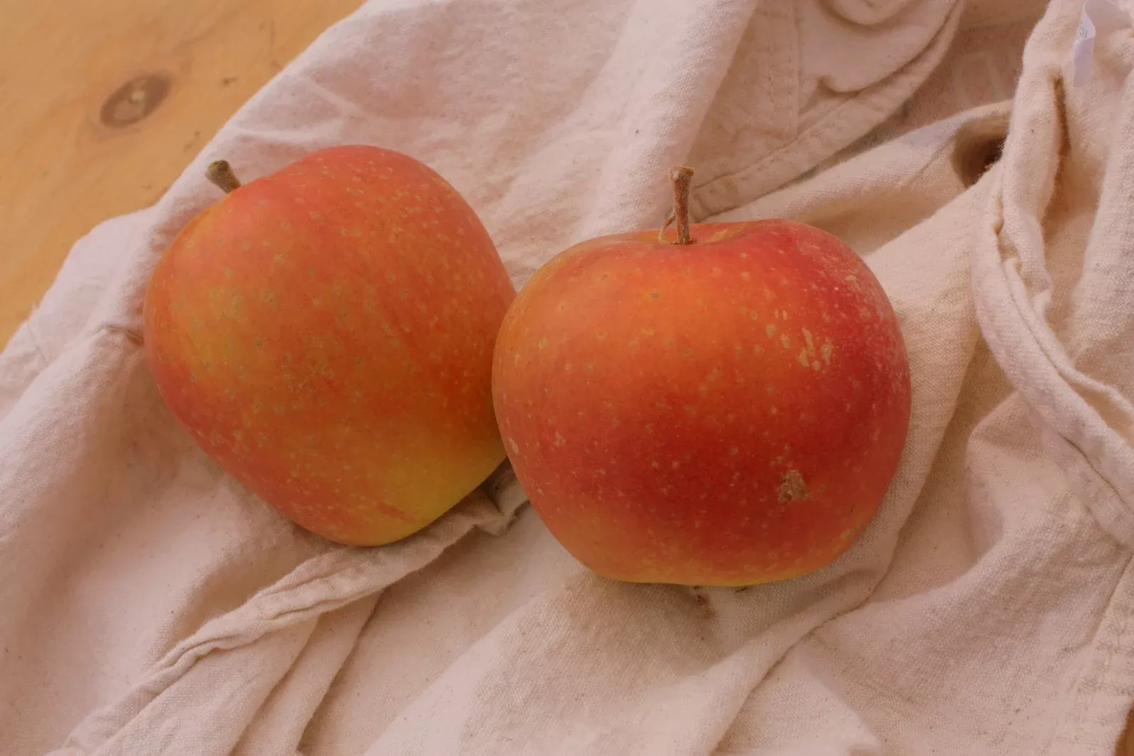Ashmead’s Kernel Apple
