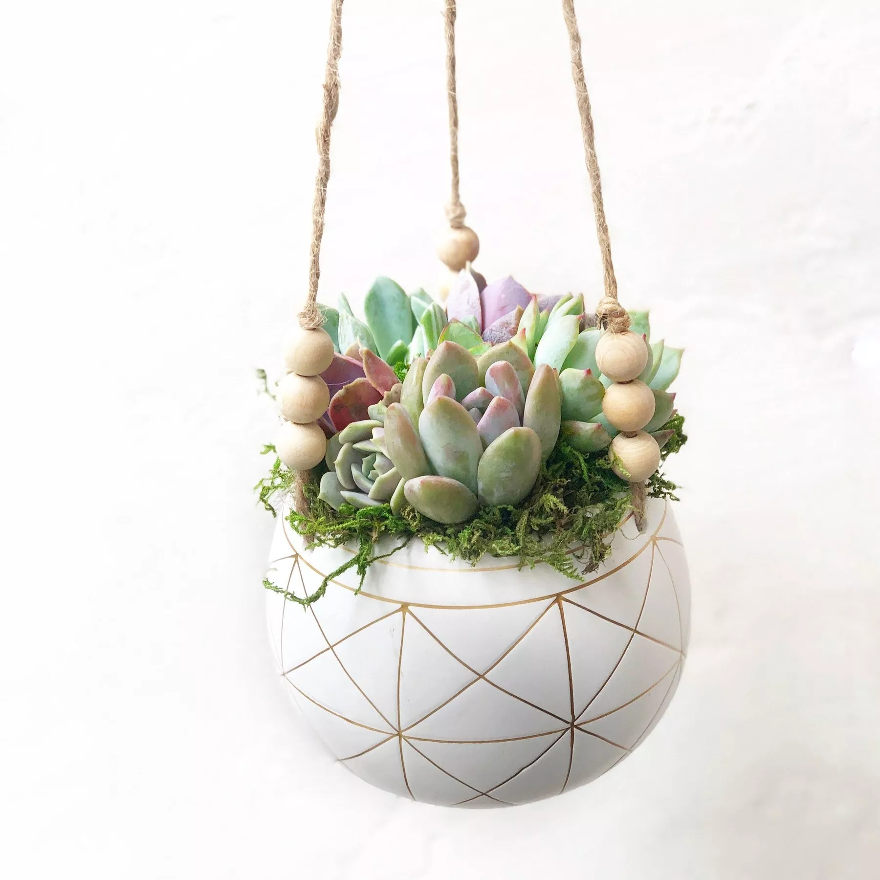 Astrid Hanging Planter
