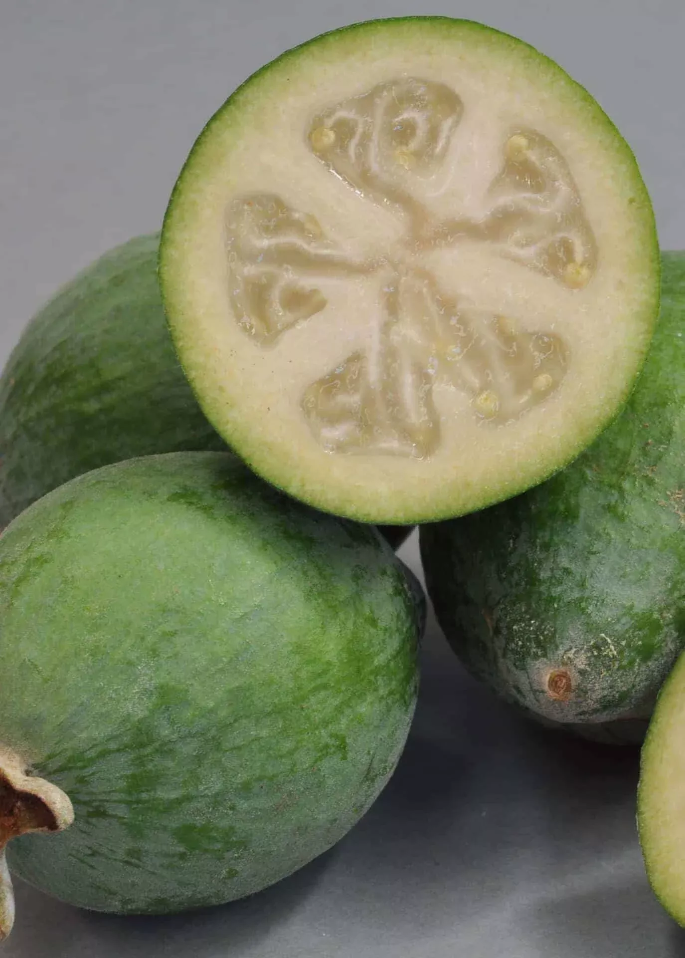 Bambina Pineapple Guava