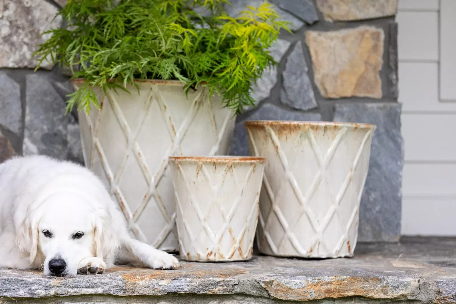 BASKET PLANTER(WHITE) – SM