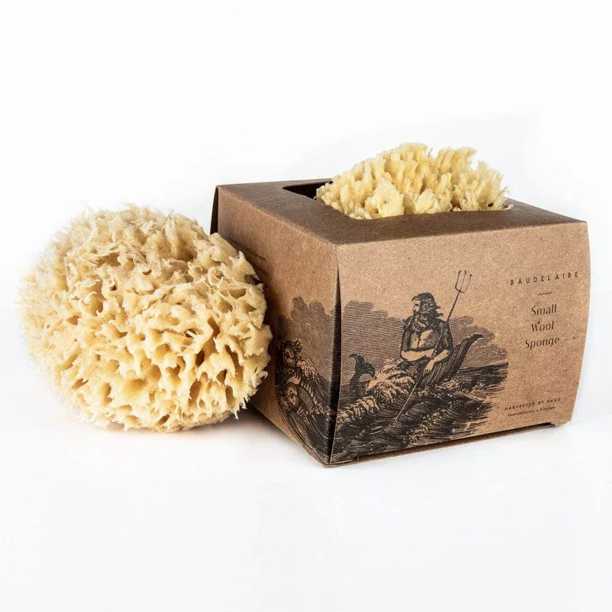 Bath Sea Sponge Gift Box – Small