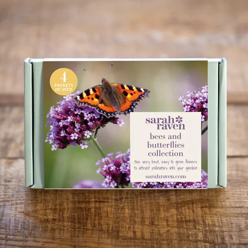 Bees and Butterflies Seed Gift Box Collection