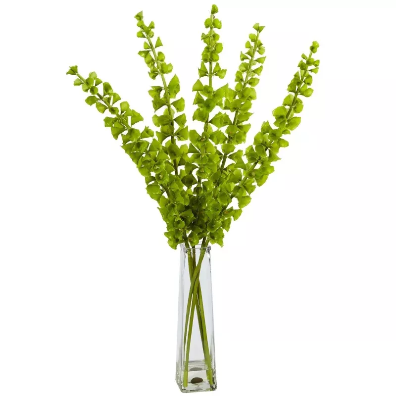 Bells of Ireland in Pyramid Glass