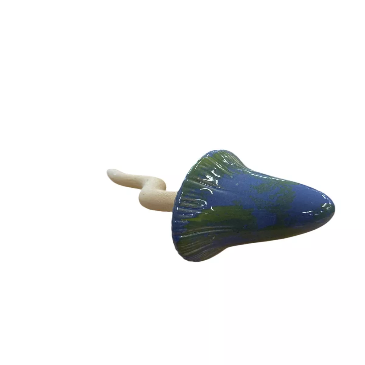 Blue Cone Mushroom