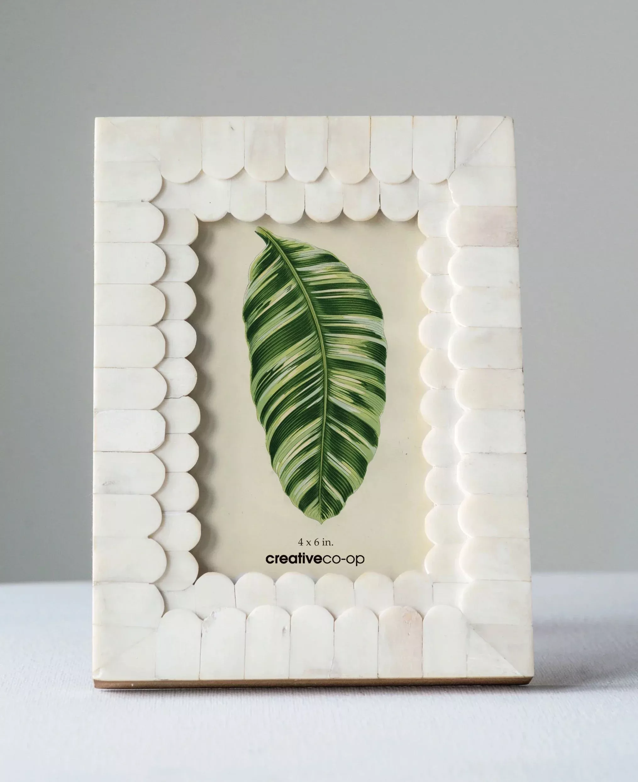 Bone Photo Frame (4″ x 6″)