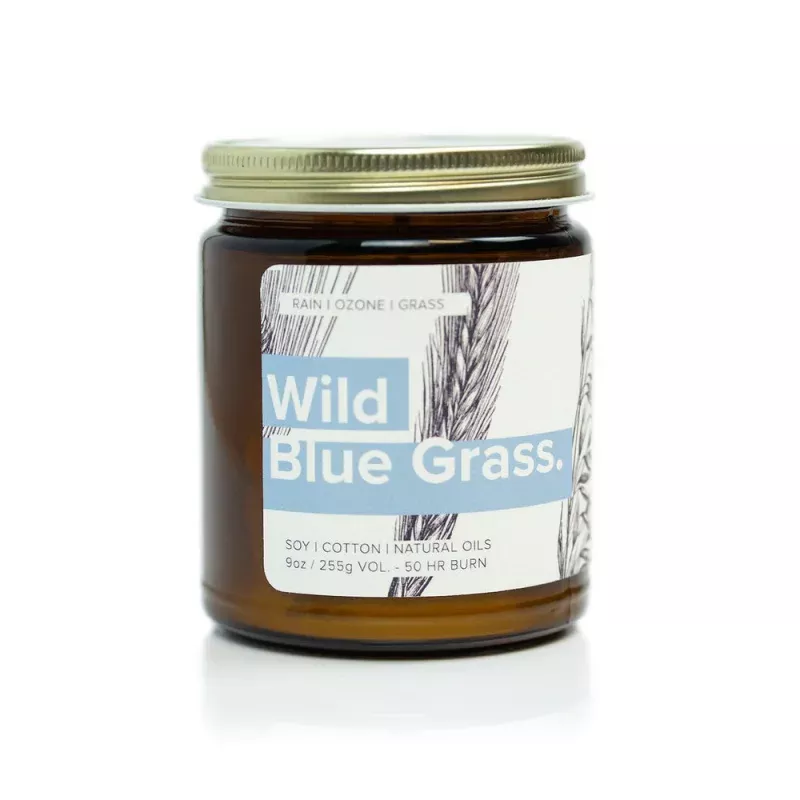 Broken Top Soy Candle, Wild Blue Grass, 9oz