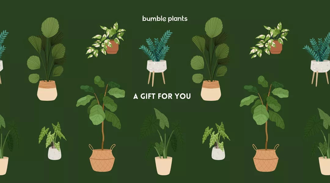 Bumble Plants Gift Card