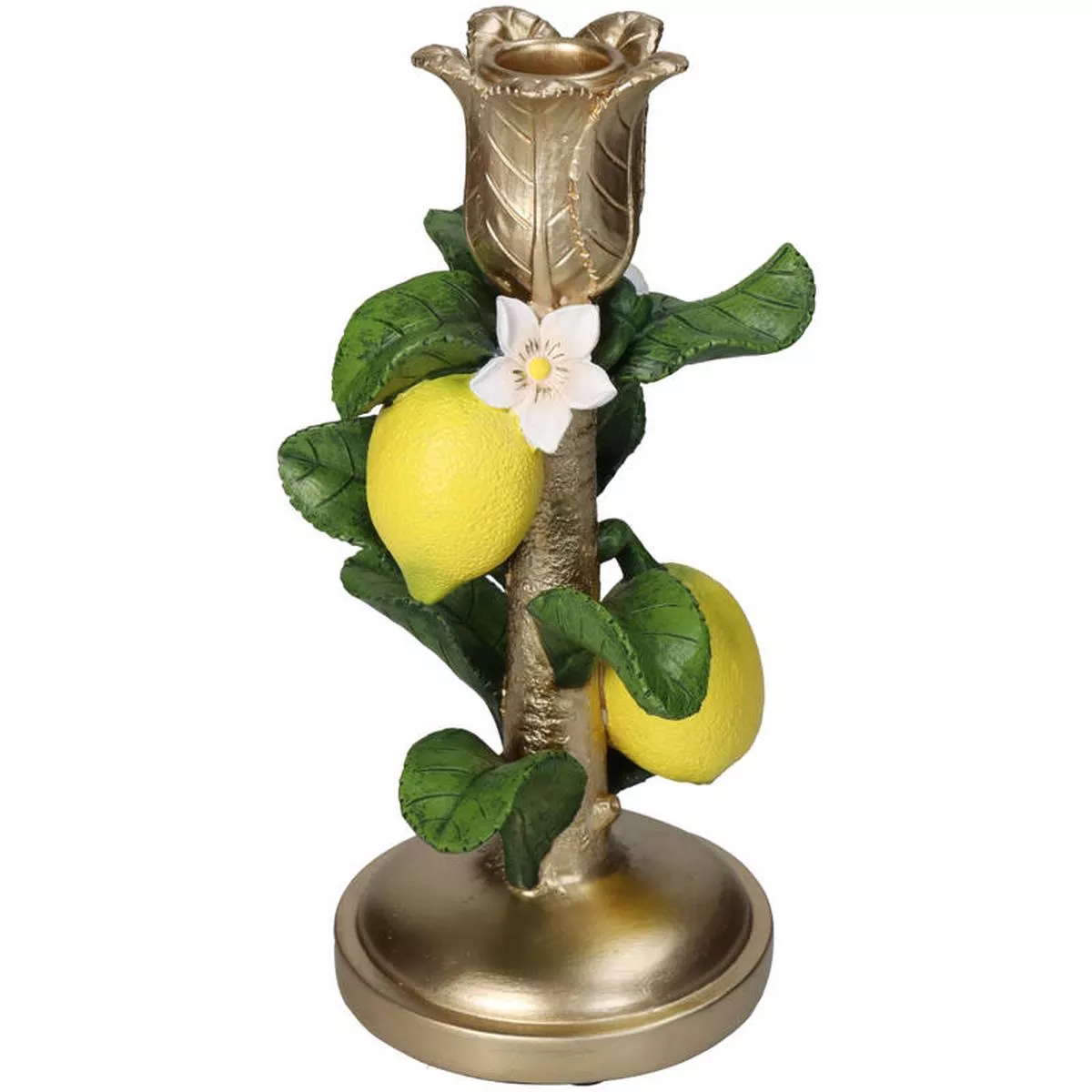 Candle Holder with Lemon Plant –22 cm