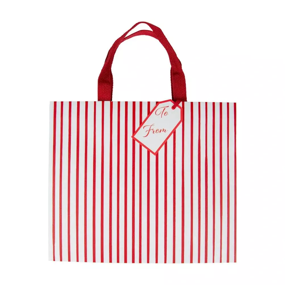 Caspari Stripes For Days Red & White Gift Bag – Large