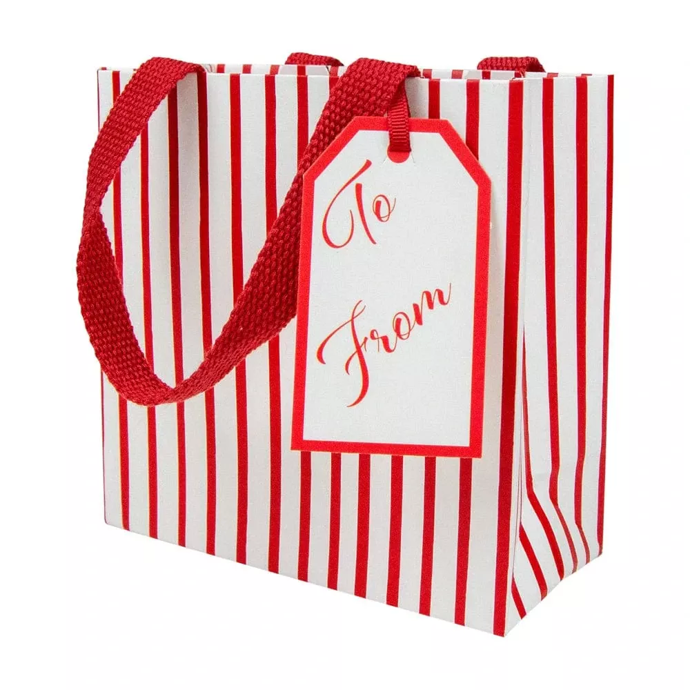 Caspari Stripes For Days Red & White Gift Bag – Small