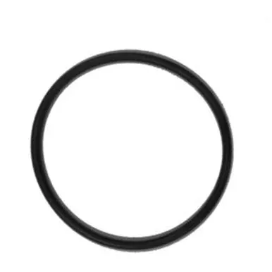 Chapin 6-2421 Top O’Ring for 1949 Sprayers