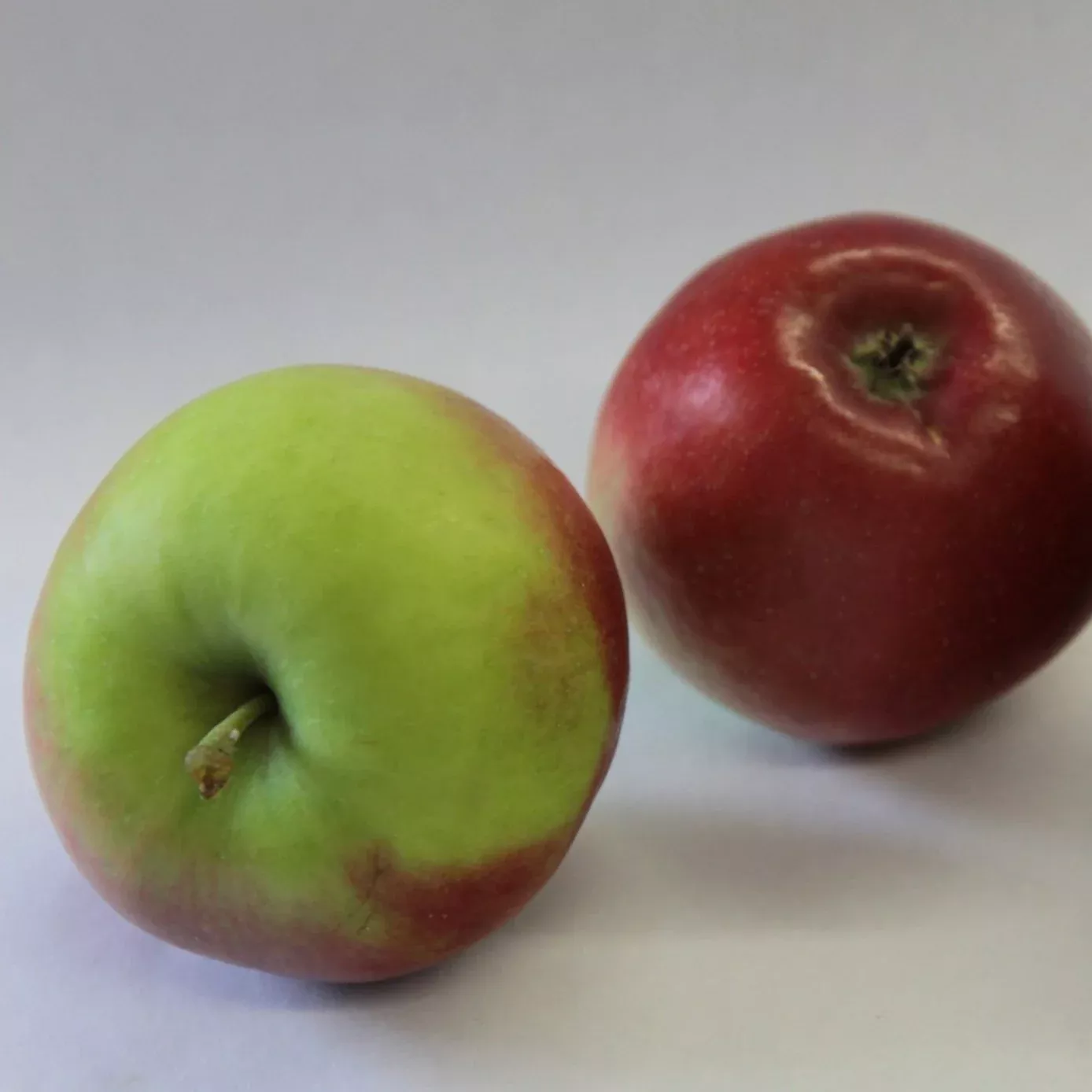 Crimson Crisp Apple