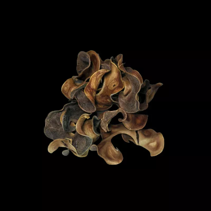 Curly Pods