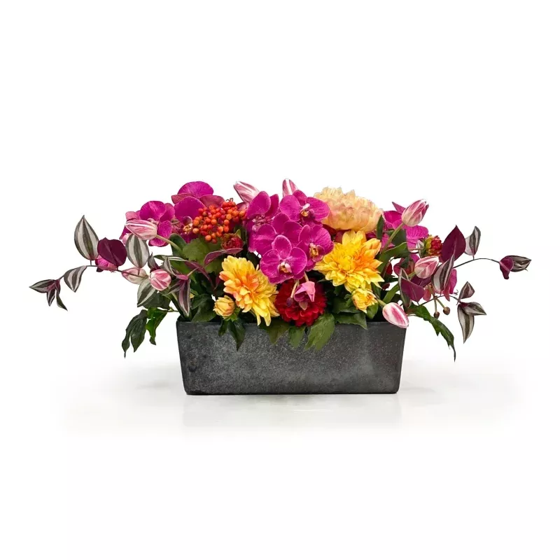 Dahlia Orchid in Container 13"