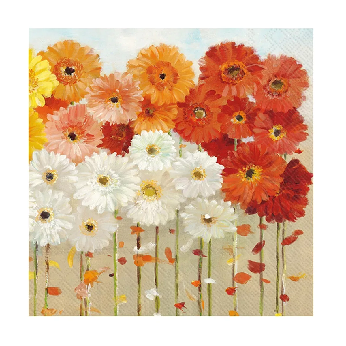 Daisies Fall Cocktail Paper Napkins