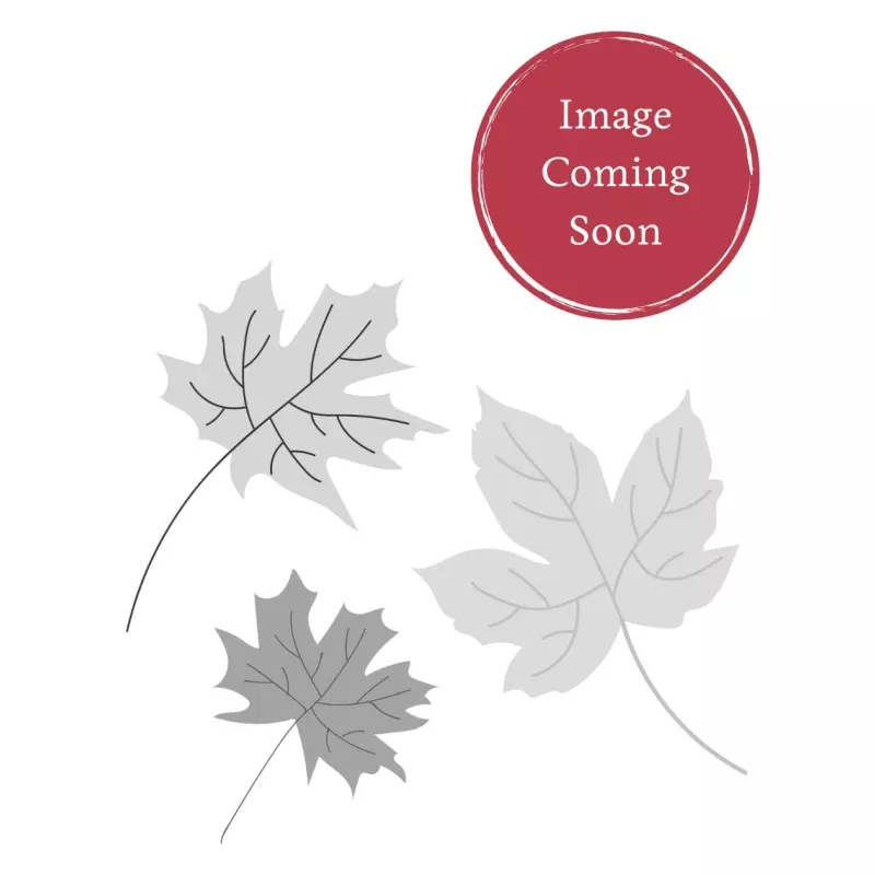 Deborah Norway Maple