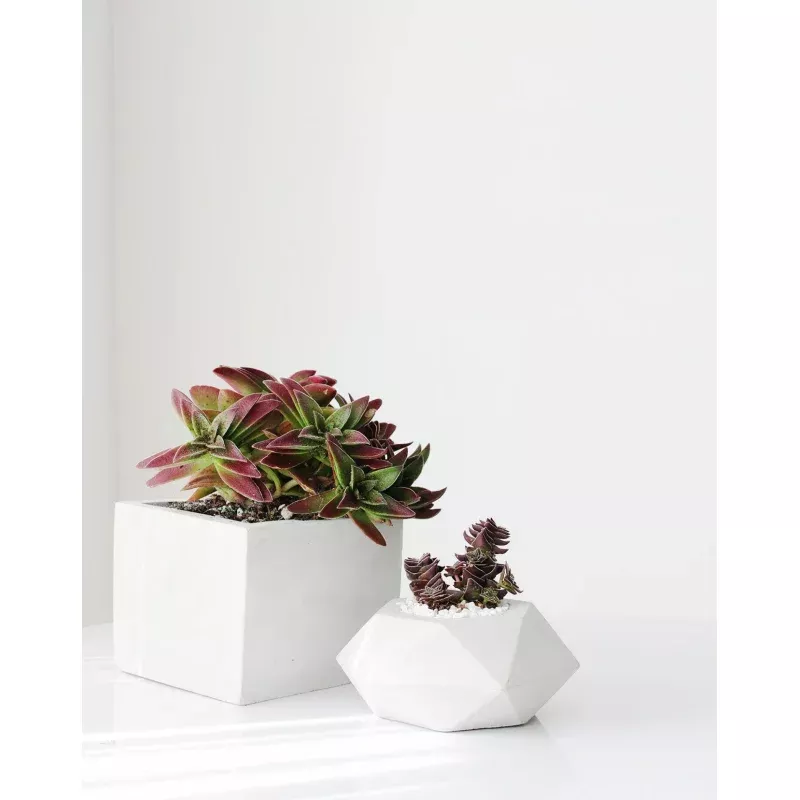 Diamond Concrete Planter