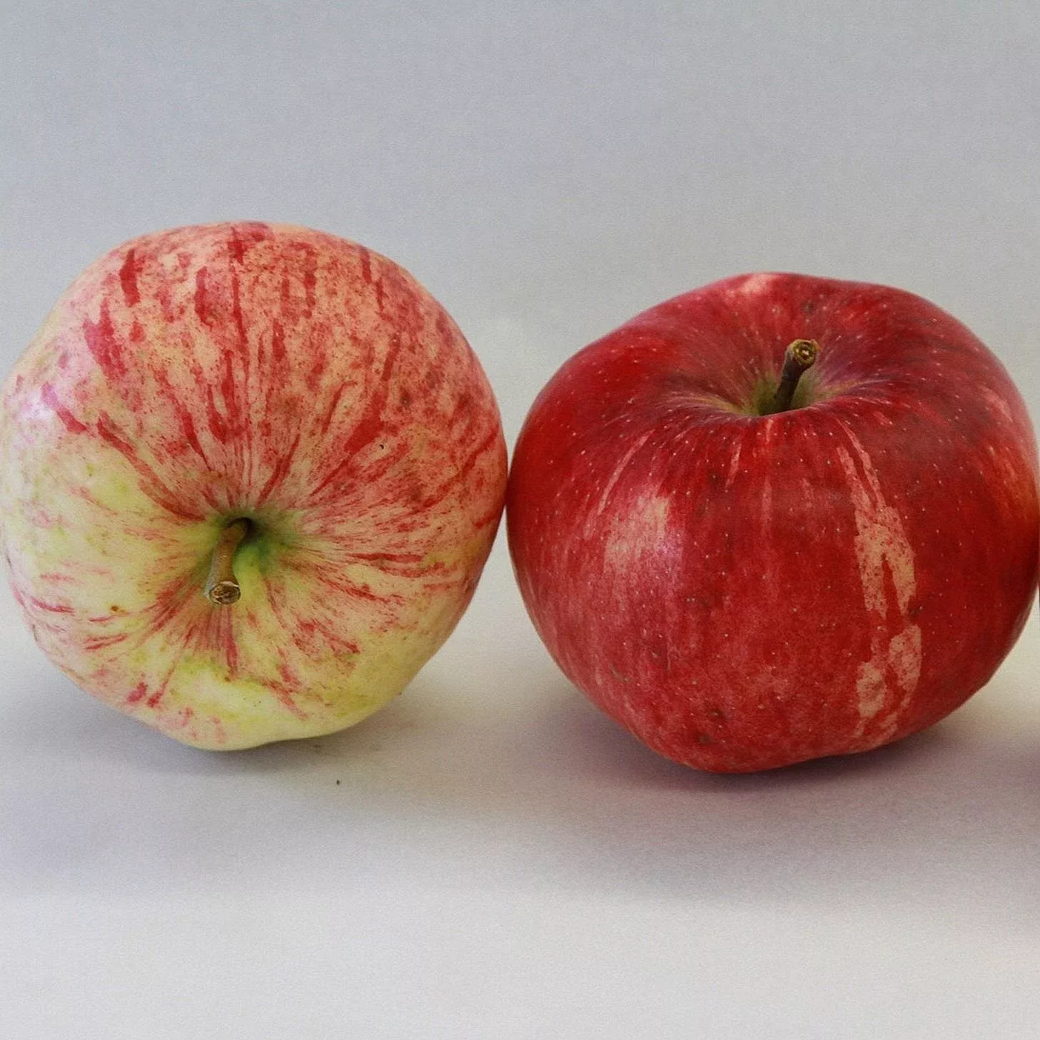 Duchess of Oldenburg Apple