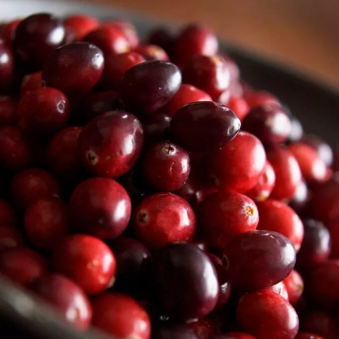 ‘Early Black’ Cranberry Bush