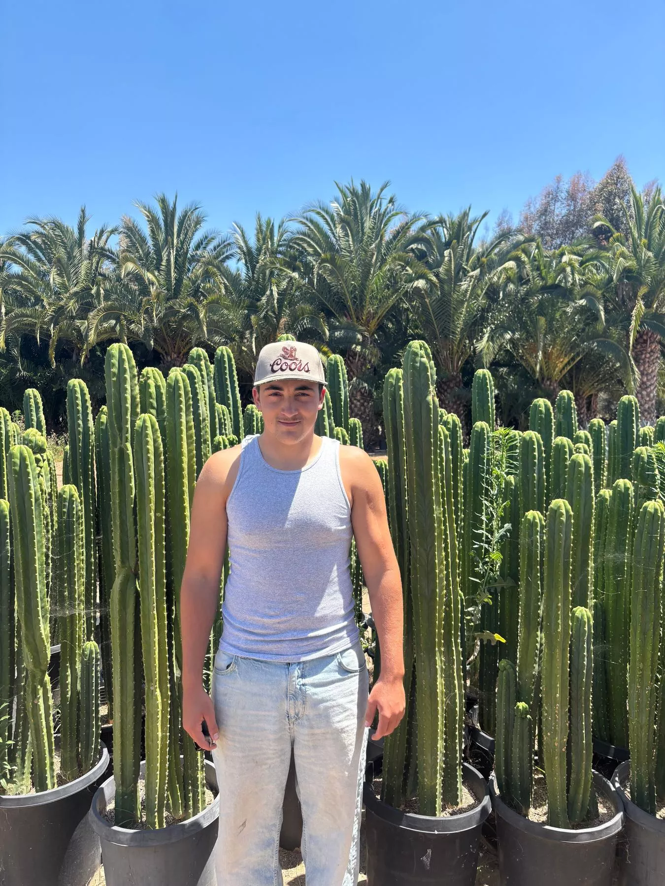 #EC125 EXACT GIANT Trichocereus Pachanoi PC Potted Cactus Specimens