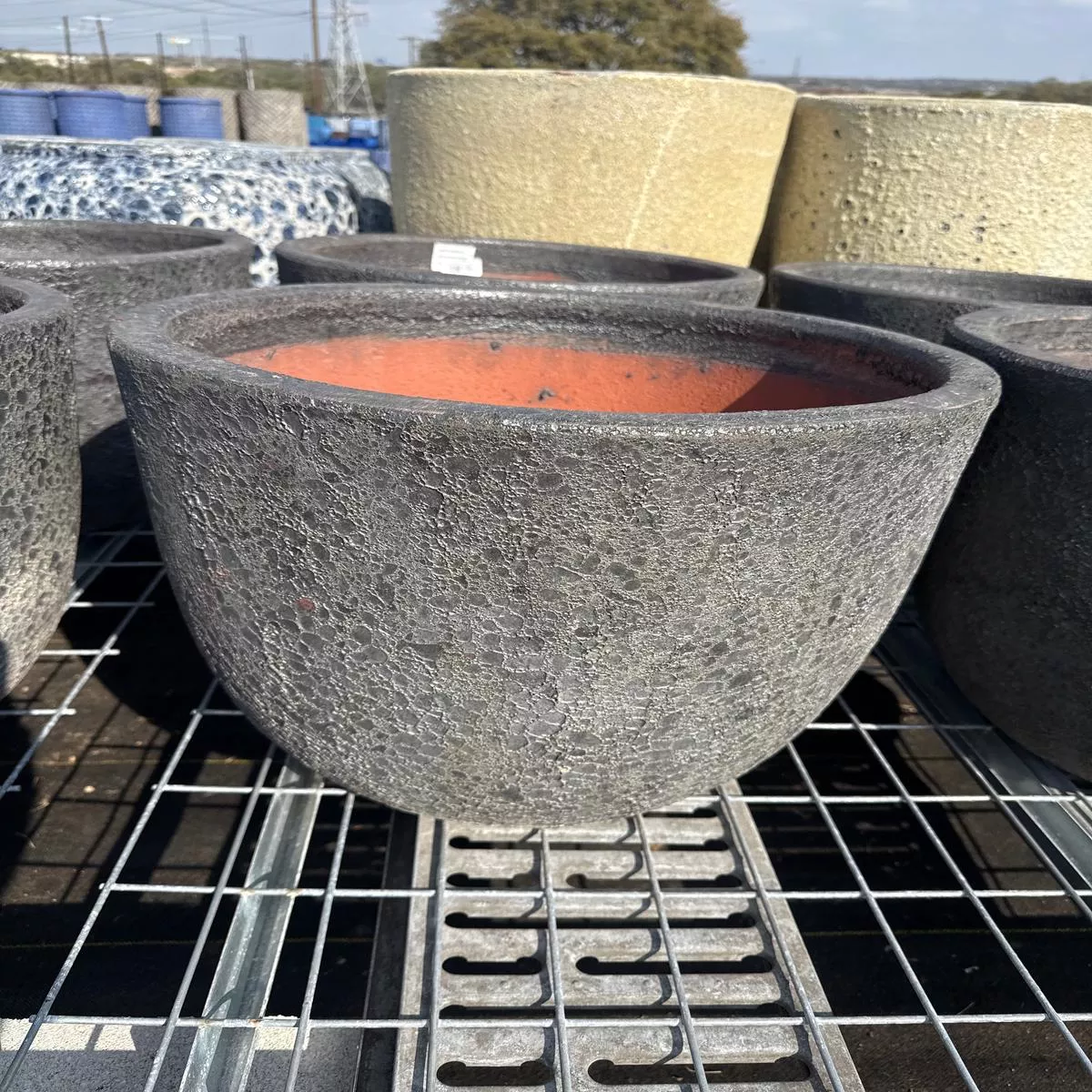 Egg Planter 10